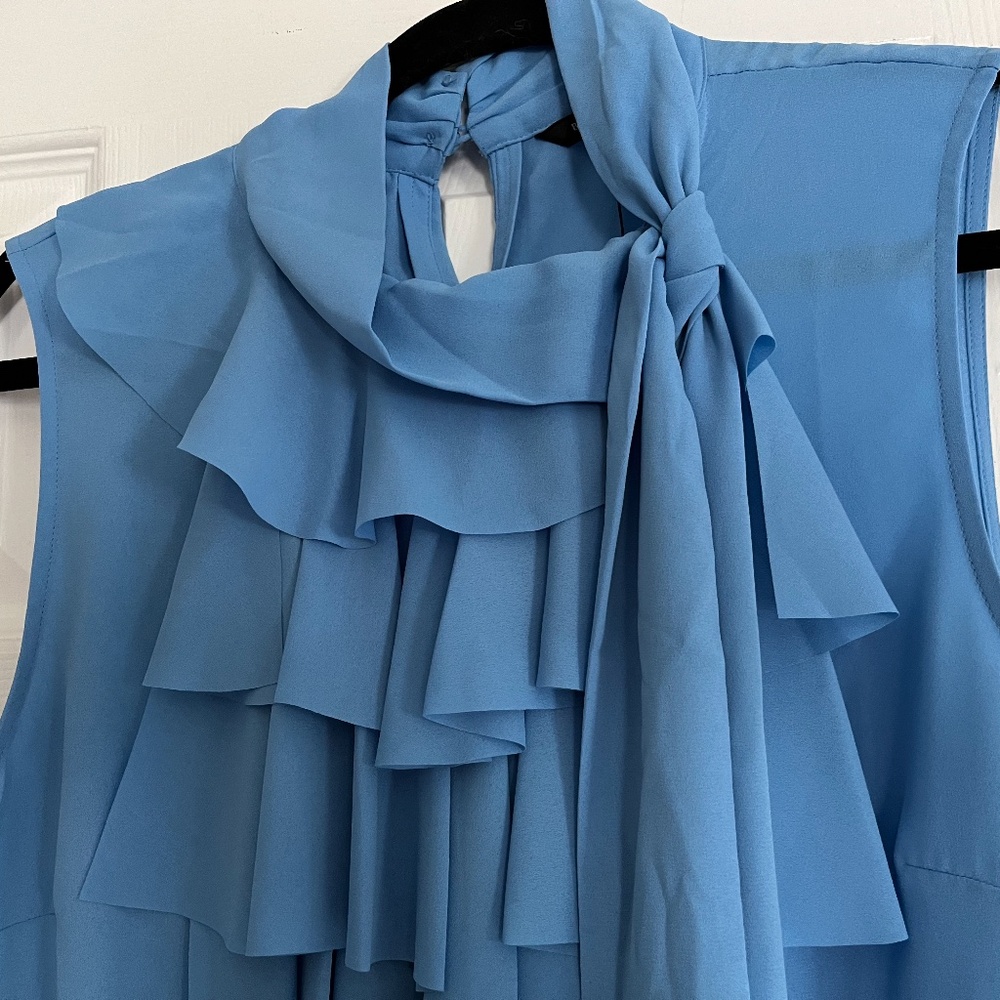 Banana Republic Ruffled Shell - Picture 2 of 6